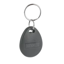 Kulcstartó proximity kártya szürke IDT-2000EM-gy