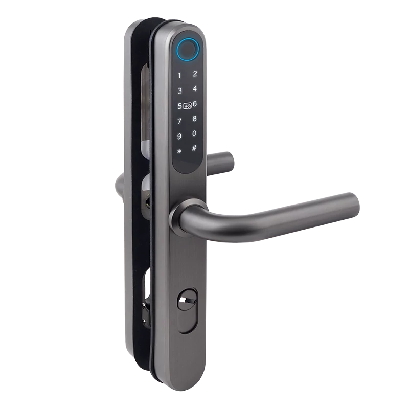 Intelligens AIRBNB zár - ujjnyomat/RFID/PIN azonosítás IP65 929PG-62-F(TUYA)